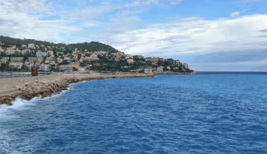 Rencontre inattendue à Nice : une énorme créature fend les eaux azuréennes