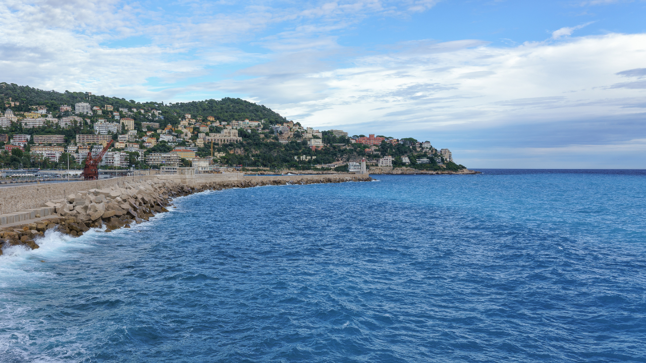 Rencontre inattendue à Nice : une énorme créature fend les eaux azuréennes