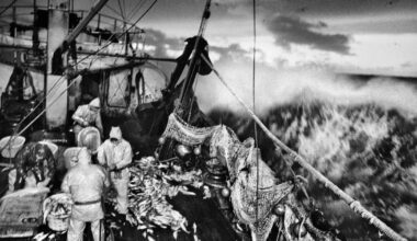 rencontre avec le photographe Jean Gaumy