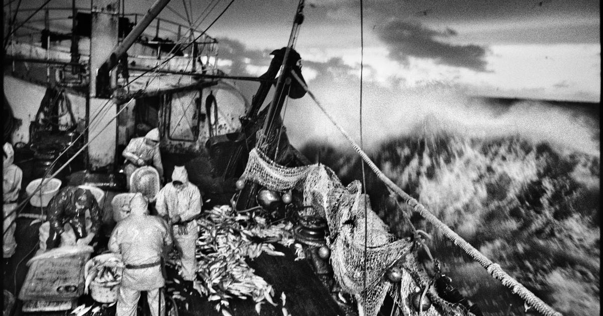 rencontre avec le photographe Jean Gaumy