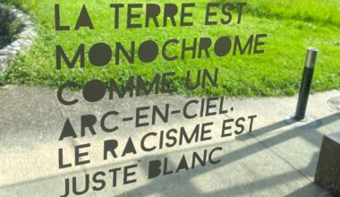 L’Université de Grenoble retire en urgence des œuvres d’art conspuant les «mâles blancs»