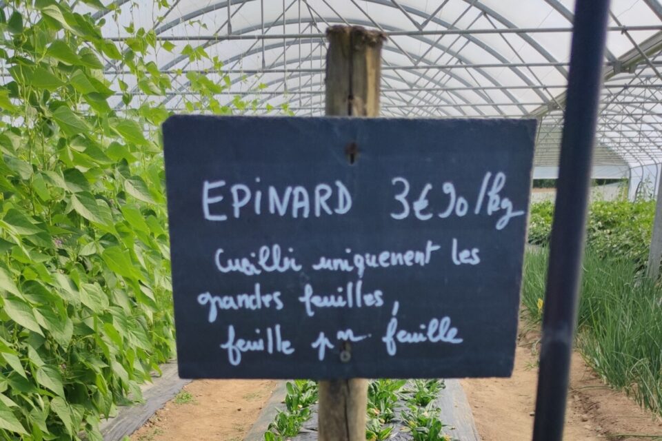 cueillettes des gorumands