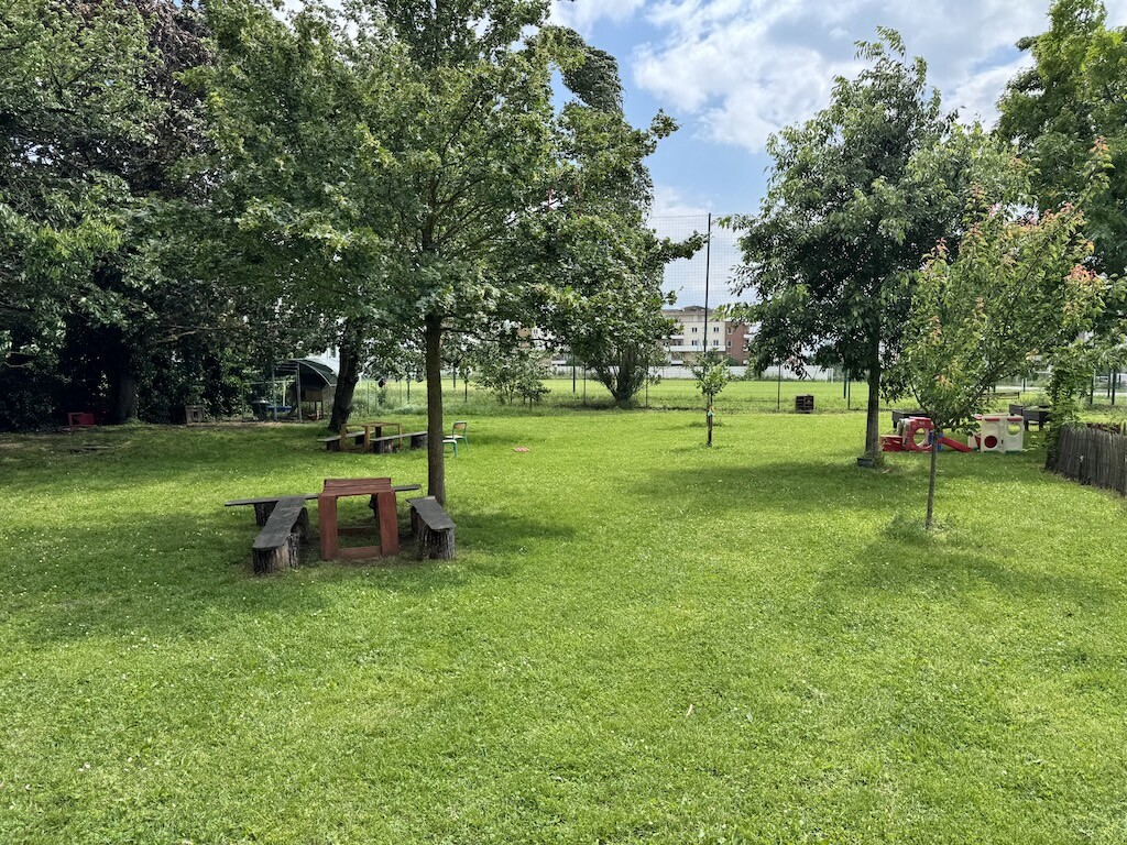 Quelles sont ces cours "oasis", plus végétalisées, mises en place par la mairie de Toulouse ?