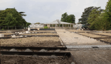 Lyon. Ce coin ignoré du parc de la Tête d'Or va devenir un paradis végétal : les détails
