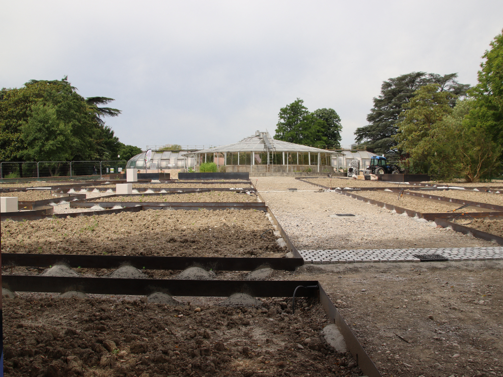 Lyon. Ce coin ignoré du parc de la Tête d'Or va devenir un paradis végétal : les détails