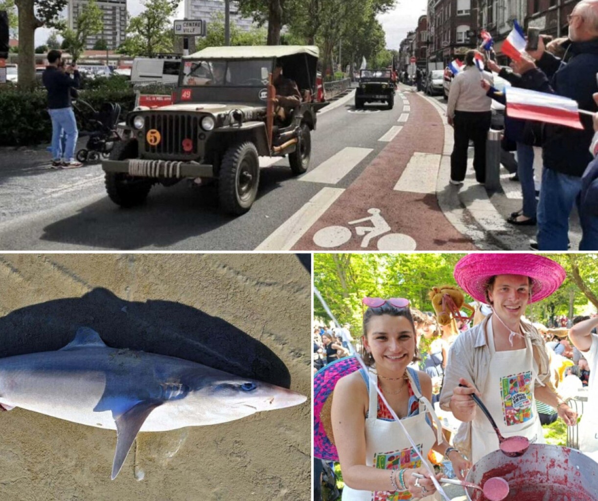 Requin échoué, fête de la soupe, métro interrompu... Les infos de la semaine à Lille et dans le Nord
