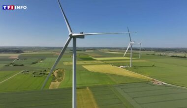 "On a eu des doutes, mais tout le monde est ravi" : quand des citoyens sont propriétaires du parc éolien