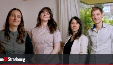 Strasbourg. Une cagnotte pour relancer Velicious