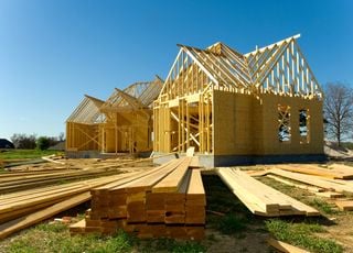 Et si le bois remplaçait bientôt le béton pour des constructions plus durables ?
