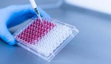 les chercheurs pensent avoir découvert la bactérie coupable de cette épidémie