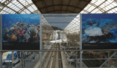 C'est quoi ces immenses photos affichées à la gare SNCF de Nice