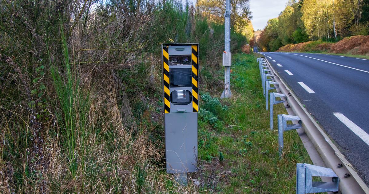 un canard flashé en excès de vitesse par un radar