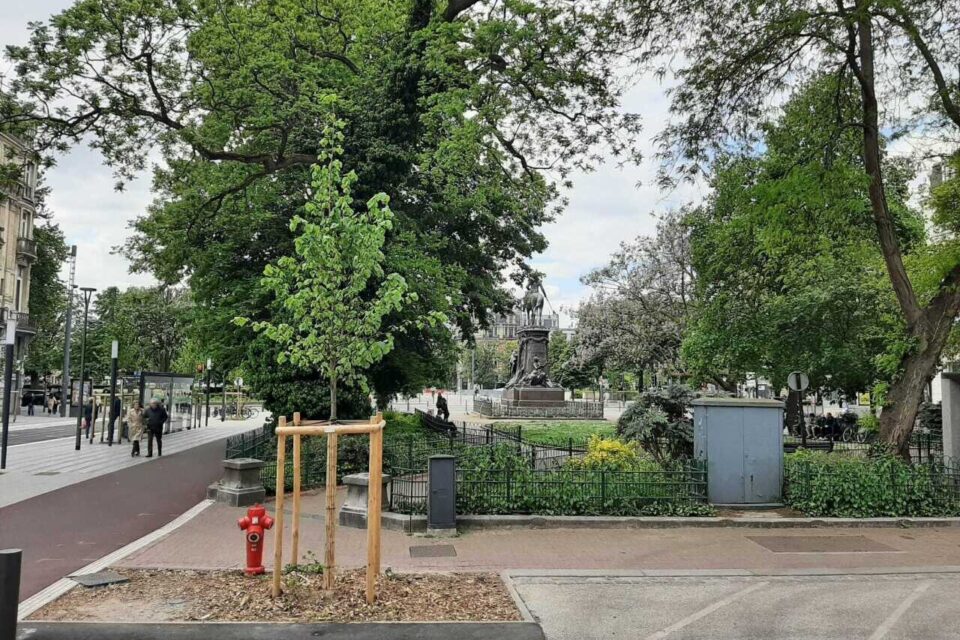 Avec son parc arboré et son emplacement idéal dans le centre-ville de Lille (Nord), la place Richebé a des atouts indéniables. La réalité serait pourtant moins reluisante.