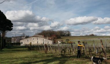 Dans le Bordelais, la désillusion des acheteurs chinois de vignobles