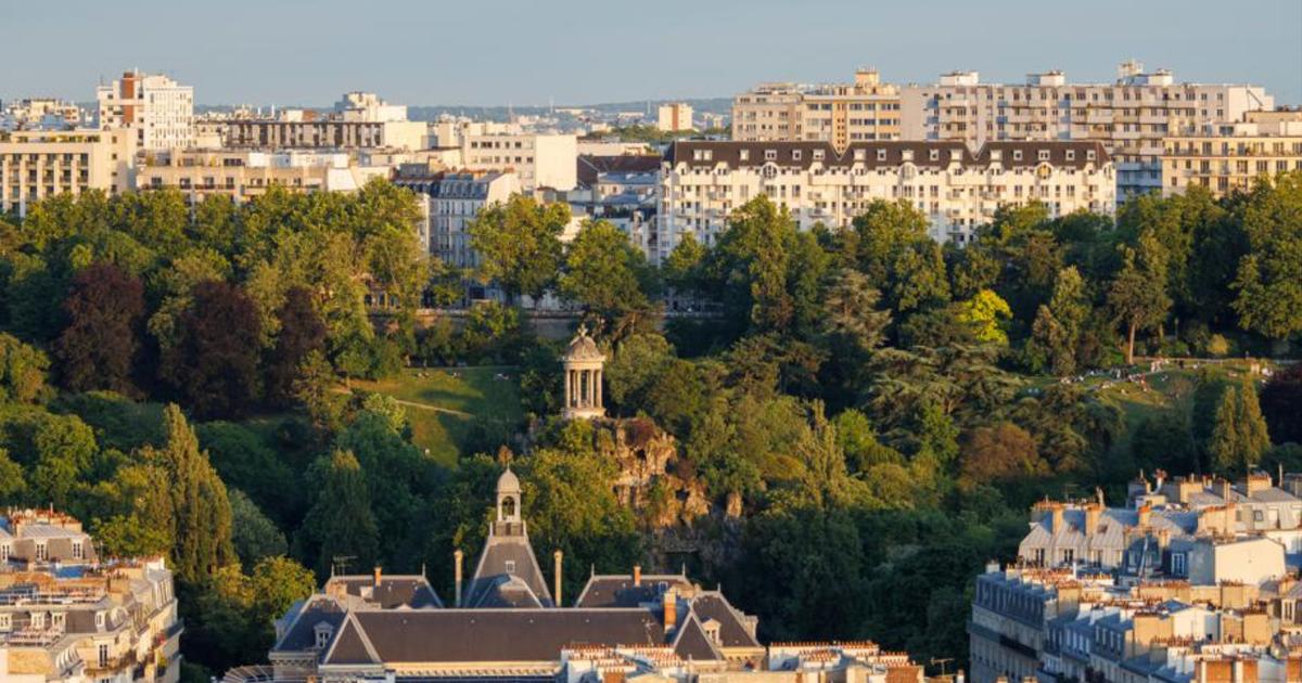 Balade poétique dans le Paris végétal