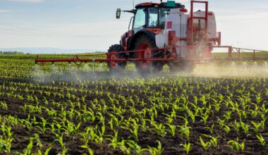 Qu’est-ce que l’acétamipride, ce pesticide décrié dans la proposition de loi «Duplomb» ?