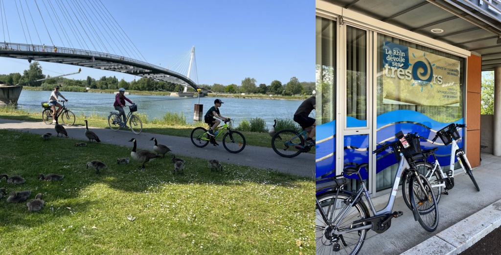 des parcours à vélo pour (re)découvrir le Rhin à 25 minutes de Strasbourg !