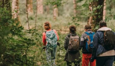 Les Nuits des forêts reviennent en Île-de-France