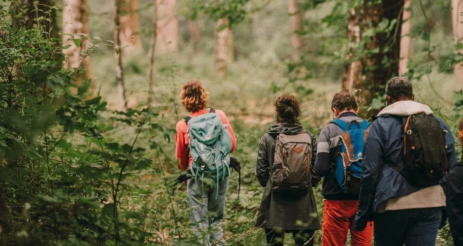 Les Nuits des forêts reviennent en Île-de-France