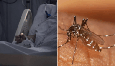 Chikungunya : 35 décès en cours d’investigation et 1 556 nouveaux cas