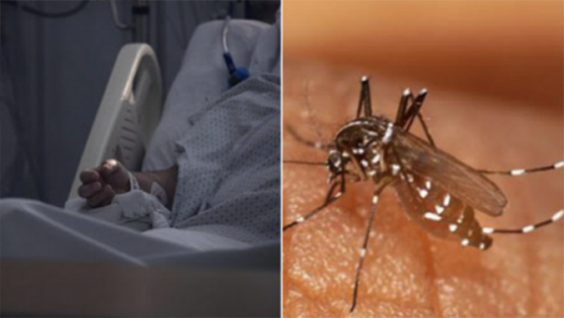 Chikungunya : 35 décès en cours d’investigation et 1 556 nouveaux cas