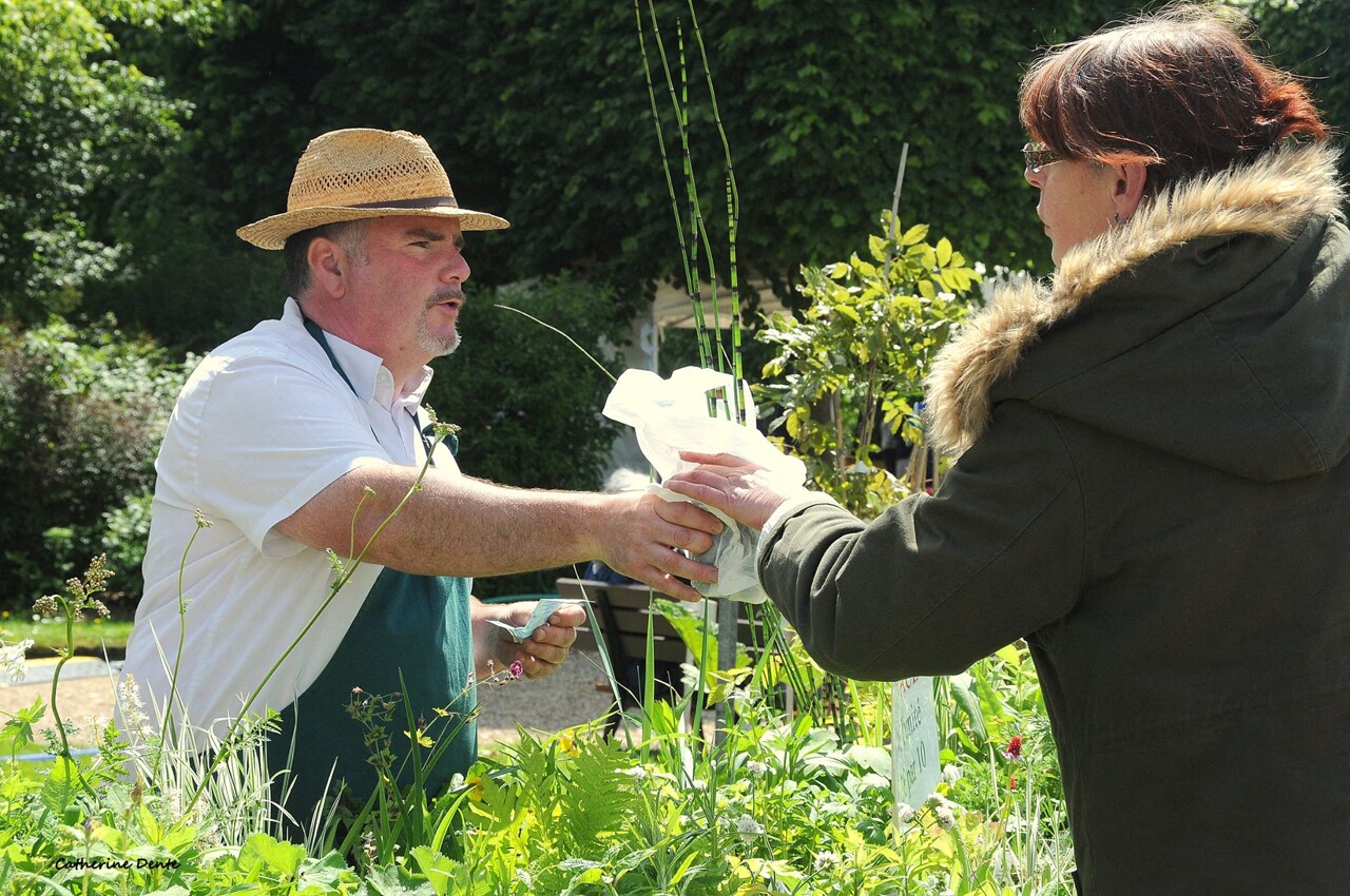 Tout ce qu'il faut savoir sur Graines de Jardin, le festival des mains vertes à Rouen, ce weekend
