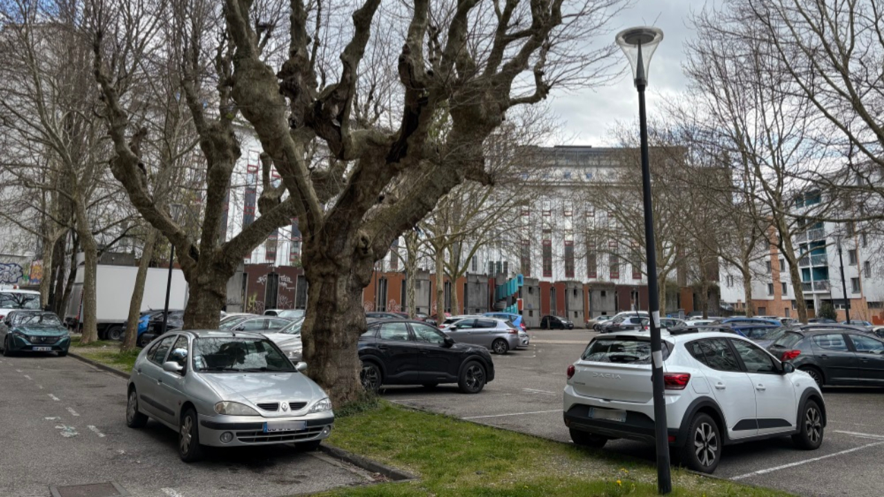 les habitants de Hoche vent debout contre la suppression des places et des arbres