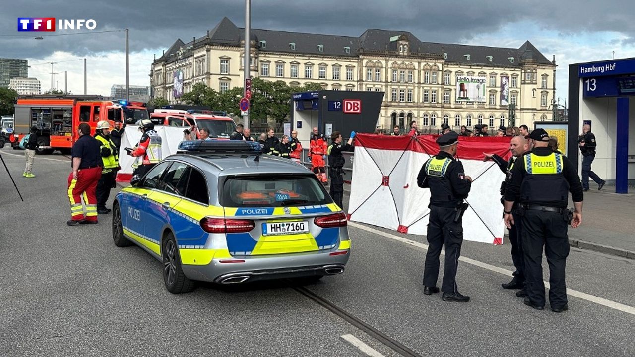 EN DIRECT - Allemagne : 17 blessés dans une attaque au couteau à la gare de Hambourg, une suspecte arrêtée