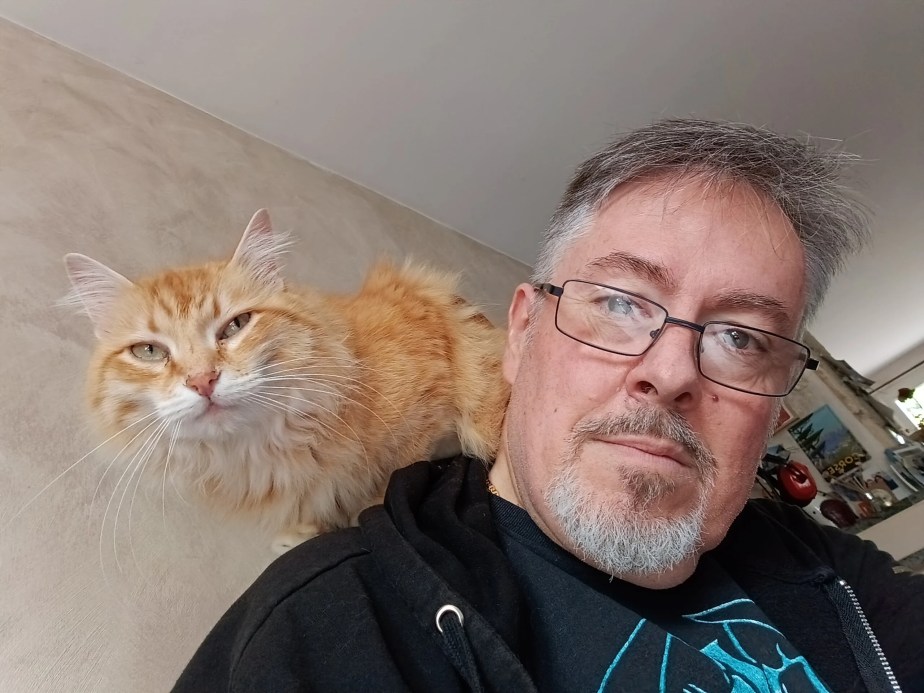 Honor 400 Lite - Selfie 2 Honor 400 Lite - Selfie 2