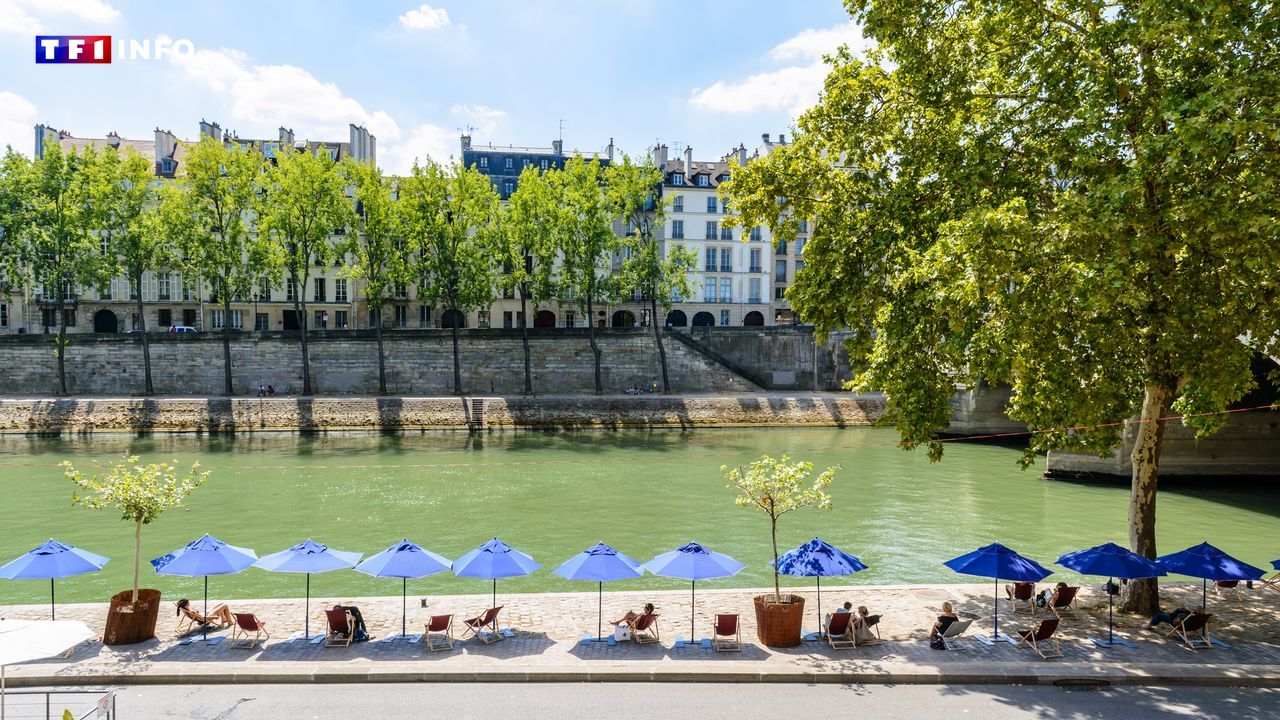 Paris : ces trois endroits où vous pourrez vous baigner dans la Seine à partir du 5 juillet