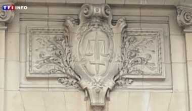 Les 2 principaux accusés du meurtre d'un adolescent à Bordeaux condamnés à 30 ans de réclusion
