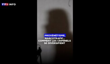 "Ils rôdent autour des foyers" : à Toulouse, des narcotrafiquants recrutent des adolescentes pour les prostituer à Marseille