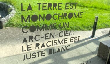Grenoble. Des messages sur le "racisme anti-blanc" effacés en urgence à l'Université