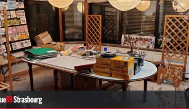 Dans la maison de Claude Lapointe, des trésors d'illustration à l'avenir ouvert