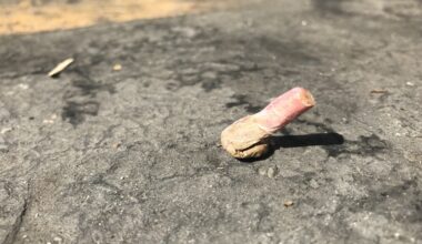 Cendriers de poche gratuits, éteignoirs… Comment Paris veut lutter face aux 350 tonnes de mégots jetés au sol
