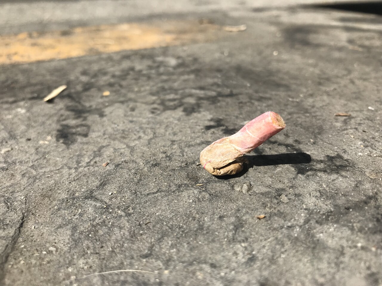 Cendriers de poche gratuits, éteignoirs… Comment Paris veut lutter face aux 350 tonnes de mégots jetés au sol