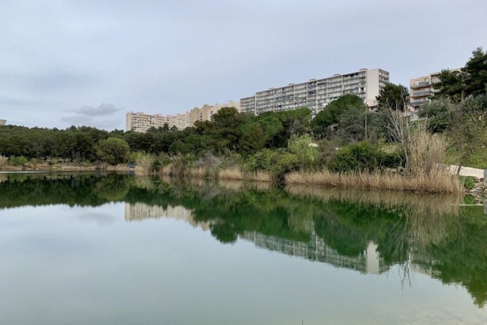Le lac des Garrigues aux Hauts de Massane à Montpellier