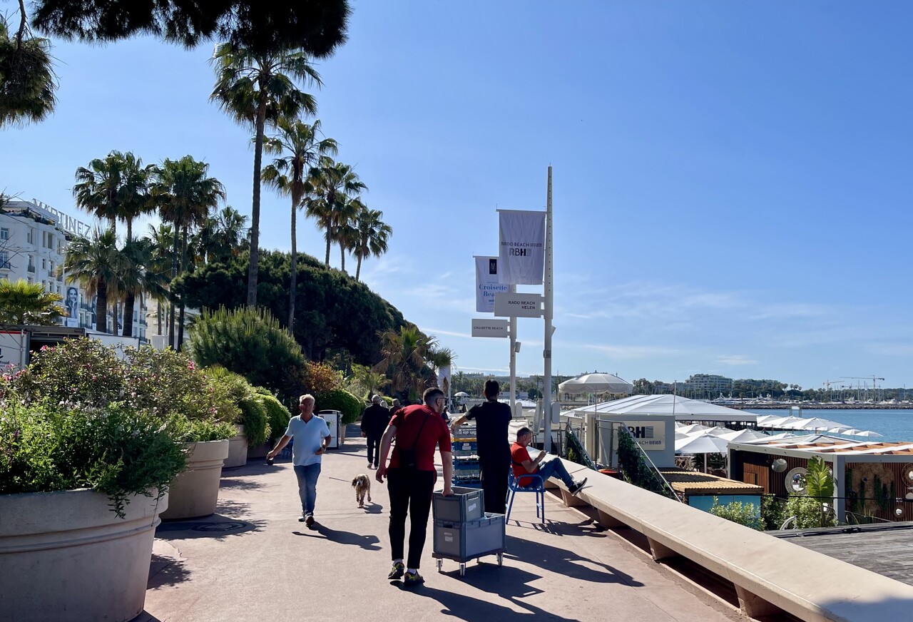 Panne géante d'électricité dans les Alpes-Maritimes et à Cannes : ce qu'il se passe