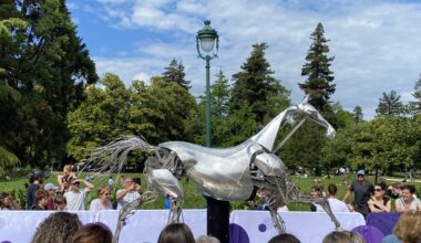 Zeus, le cheval des JO de Paris, bientôt exposé à Strasbourg : ce qu'il faut savoir