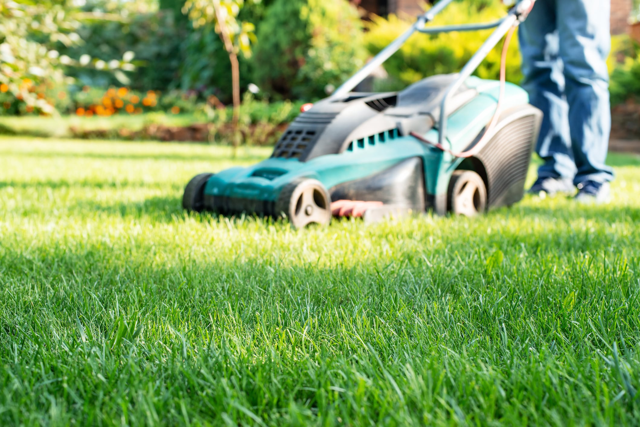 interdiction tonte attention 2