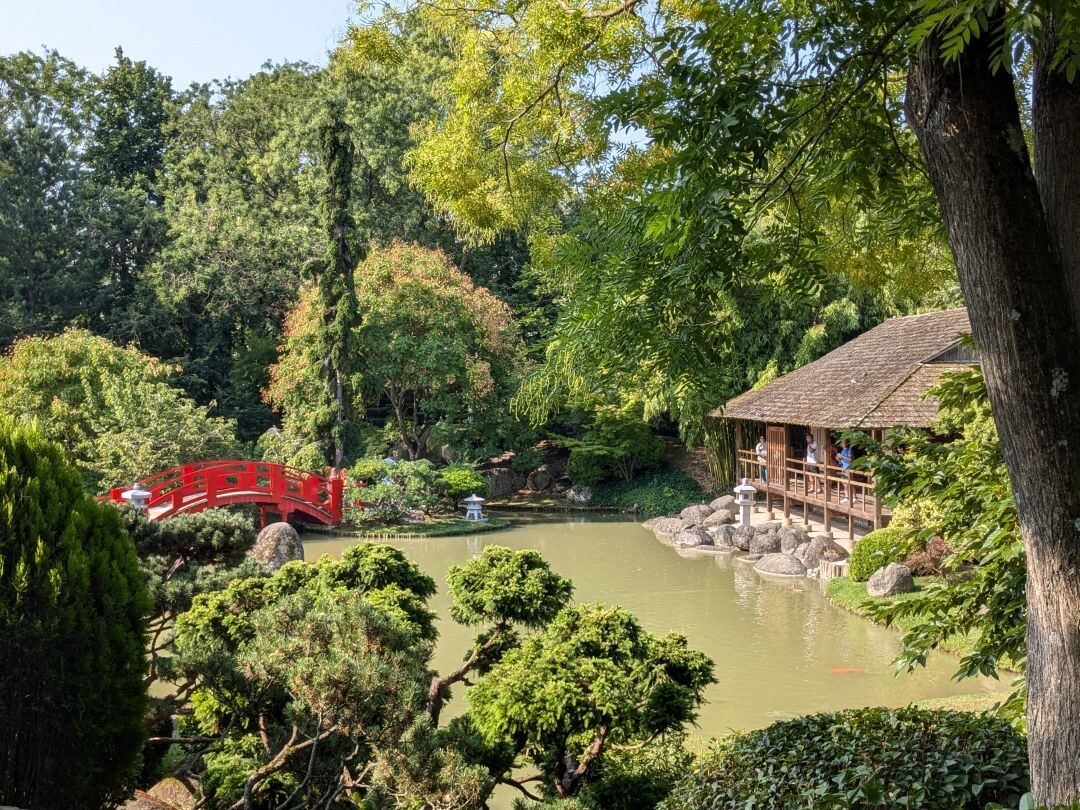 Pour être nourri et logé, il fait l'apologie de Daesh dans un jardin public de Toulouse