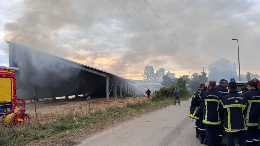 le hangar agricole incendié à Prunelli-di-Fiumorbo appartient à Charles Sisti, une enquête ouverte