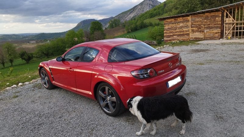 La Mazda RX-8 possède une carrosserie assez spectaculaire, qui semble même avoir plu à ce chien croisé dans le Vercors.