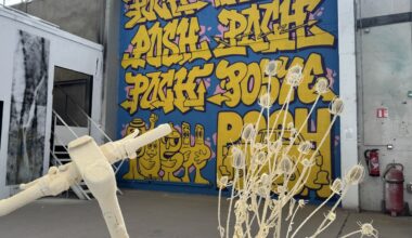 EN IMAGES. Découvrez la nouvelle édition de l’exposition d’art urbain Layup à Toulouse