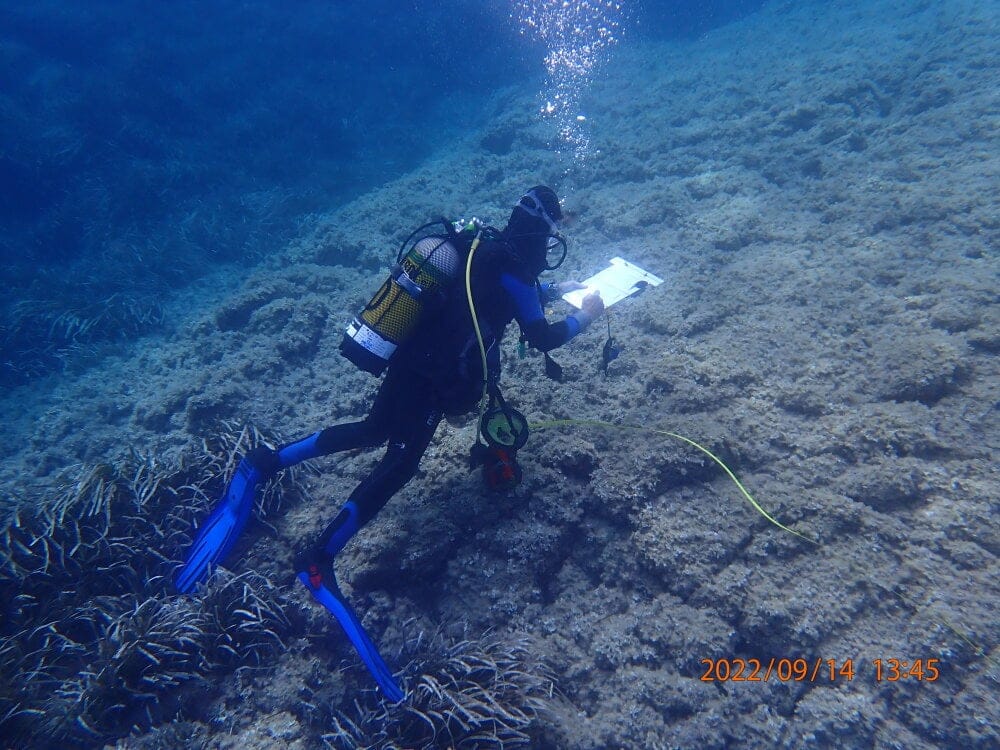Le laboratoire Ecoseas de l’Université Côte d’Azur a conduit des inventaires de biodiversité dans la baie des Anges.