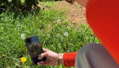 Marseille, première ville française du City challenge nature avec 13 000 observations