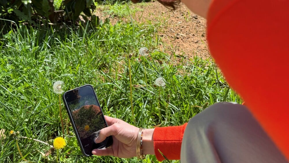 Marseille, première ville française du City challenge nature avec 13 000 observations