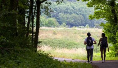 ces nouvelles balades avec des œuvres d'art se découvrent à pied ou à vélo
