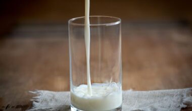 Les produits laitiers allégés sont-ils vraiment meilleurs pour la santé ? Pas sûr !