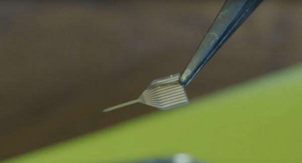 Des graines de physiciens à l'Institut Néel | ECHOSCIENCES